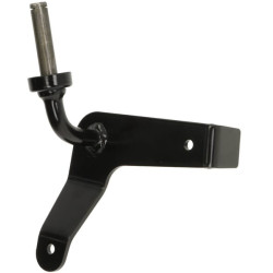 Ašies galas AM140964