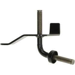 Ašies galas AM140964