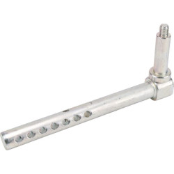 Ašies galas AM136328