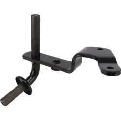 Ašies galas AM136583