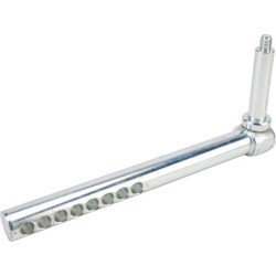 Ašies galas AM135065