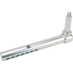 Ašies galas AM120680