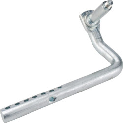 Ašies galas AM138220