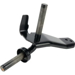 Ašies galas AM140961