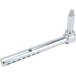 Ašies galas AM136327