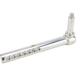 Ašies galas AM137395