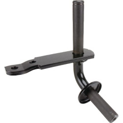 Ašies galas AM136580