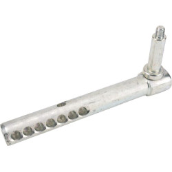 Ašies galas AM131289