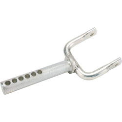 Ašies galas AM137756