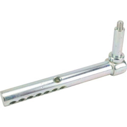 Ašies galas AM137396