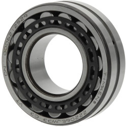 Dviejų eilių cilindrinis ritininis guolis 22206CE4C3S1