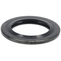 Variklio išleidimo tarpinė 1586296670