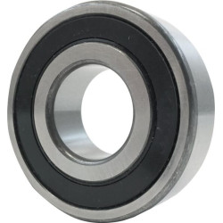 Radialinis rutulinis guolis 0810106204