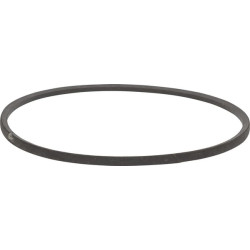 V formos diržas 1666655SM