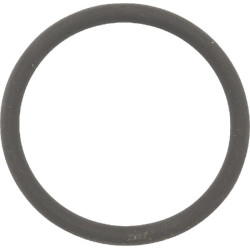 O formos žiedas 0062280