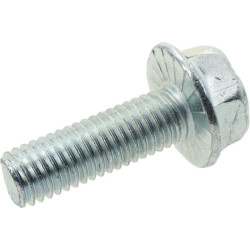 Varžtas M6SF M8x25 T 9959082516