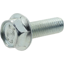 Varžtas M6SF M8x25 T 9959082516