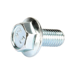 Varžtas M6Sf M10x20 Tl 9959102016