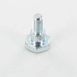 Peties varžtas 1134024000