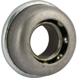 Rutulinis guolis 95030039011