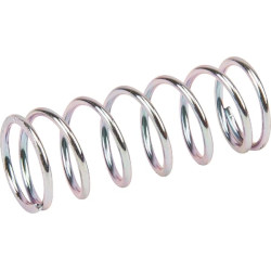 Pavasaris 00009971501