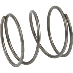 Pavasaris 00009973800