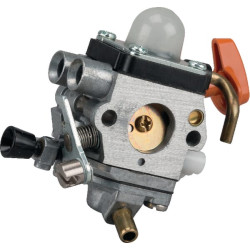 Karbiuratorius 41801200610