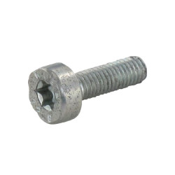 Varžtas M5 x 1 90223410980