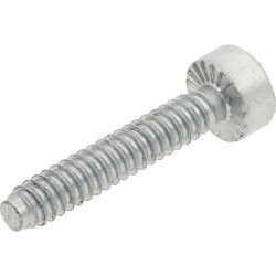 Varžtas 90754784175