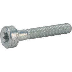 Varžtas 90223411070