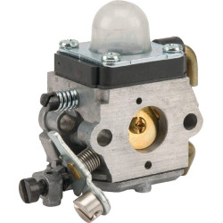 Karbiuratorius 42261200604