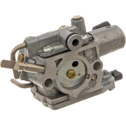 Karbiuratorius 11461200600