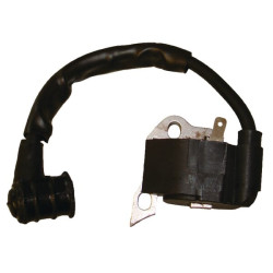 Uždegimo modulis 00004001306KR