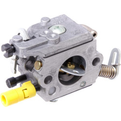 Karbiuratorius 11231200608