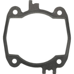 Cilindro tarpinė 42380292300