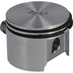 Stūmoklis 42230302000