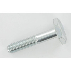 Šešiakampis varžtas 42017088401