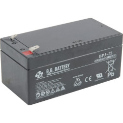 Akumuliatorius, šlapias 1068397