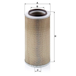 Oro filtro elementas C203252