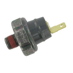 Alyvos slėgio jungiklis 2509927S