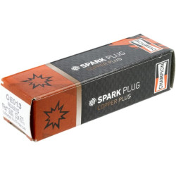 Uždegimo žvakė M14x1,25x19mm veržliaraktis 16mm 1x Champion RC12YC