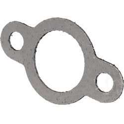 Išmetimo tarpinė 2504117S