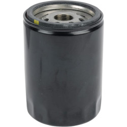 Alyvos filtras AM39687