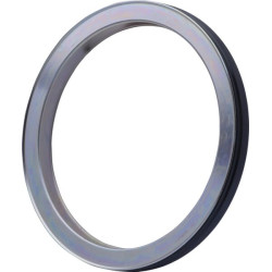 Alyvos sandariklis 84150634