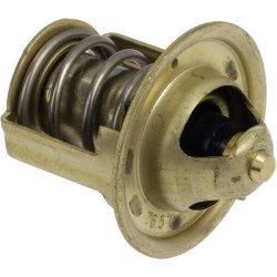 Termostatas 2230300