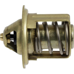 Termostatas 2230300