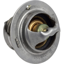 Termostatas 2517660