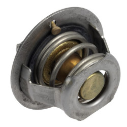 Termostatas 2517660