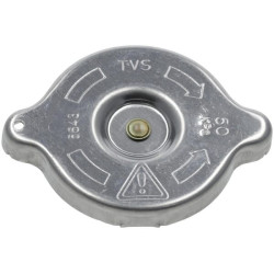 Radiatoriaus dangtelis 4160965