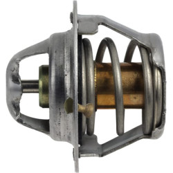 Termostatas 2517660